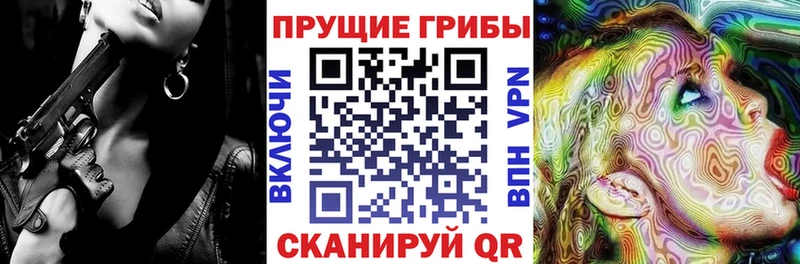 Галлюциногенные грибы MAGIC MUSHROOMS  где найти наркотики  Николаевск-на-Амуре 